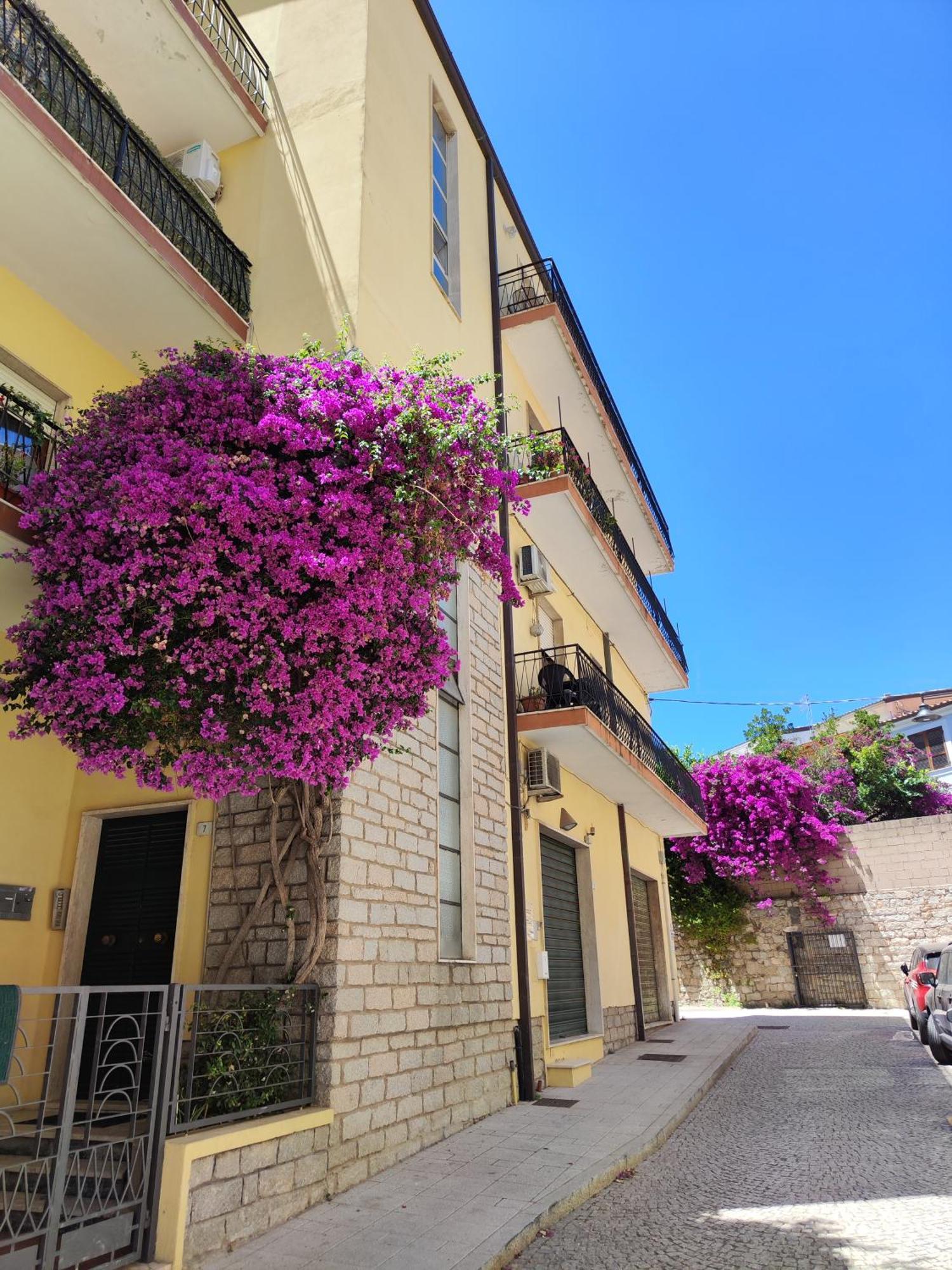 Attico Vespucci Luxury Penthouse Apartment Olbia Bagian luar foto